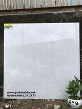 Gạch 80x80 Catalan bóng kiếng cao cấp rẻ đẹp 8052