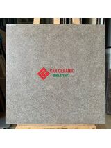 Gạch viglacera 60x60 mờ nâu đất
