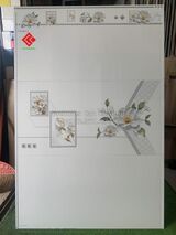 Gạch men bóng 40x80 trắng trơn dán tường phòng khách