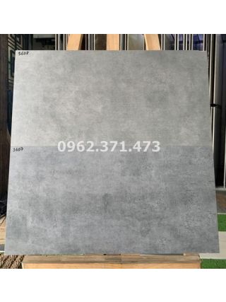 Gạch ốp tường vân xi măng 30x60 kis