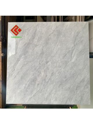 Gạch lát nền 80x80 bóng kiếng màu xám 845