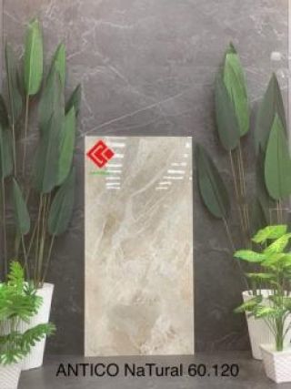 60x120 bóng kính Ấn Độ Antico Natural