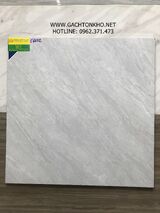 Gạch 60x60 Bóng Kiếng Vitto Lát Nền Giá Rẻ C6602