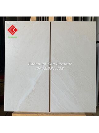 Gạch viglacera 30x60 vân đá màu be mờ tự nhiên