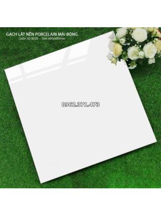 Gạch 60x60 trắng trơn lát nền sạch đẹp