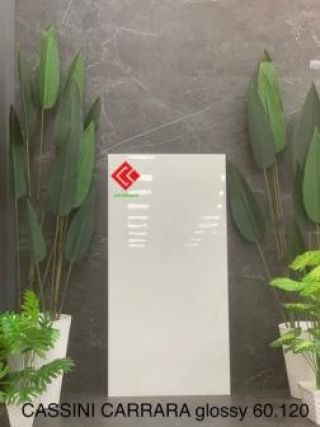 Gạch 60x120 Ấn Độ Cassini Carrara Glossy