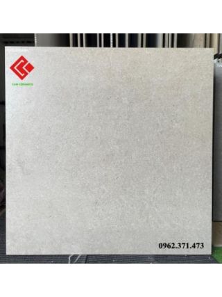 Gạch 80x80 viglacera mờ 8804M