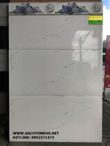 Gạch ốp tường 30x60 MỚI 9311NY