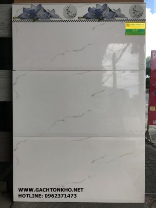 Gạch ốp tường 30x60 MỚI 9311NY
