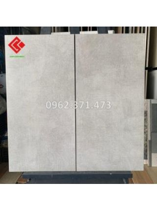 Gạch viglacera 300x600 vân xi măng xám
