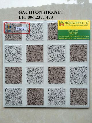 Gạch nhà tắm 25x25 S5219