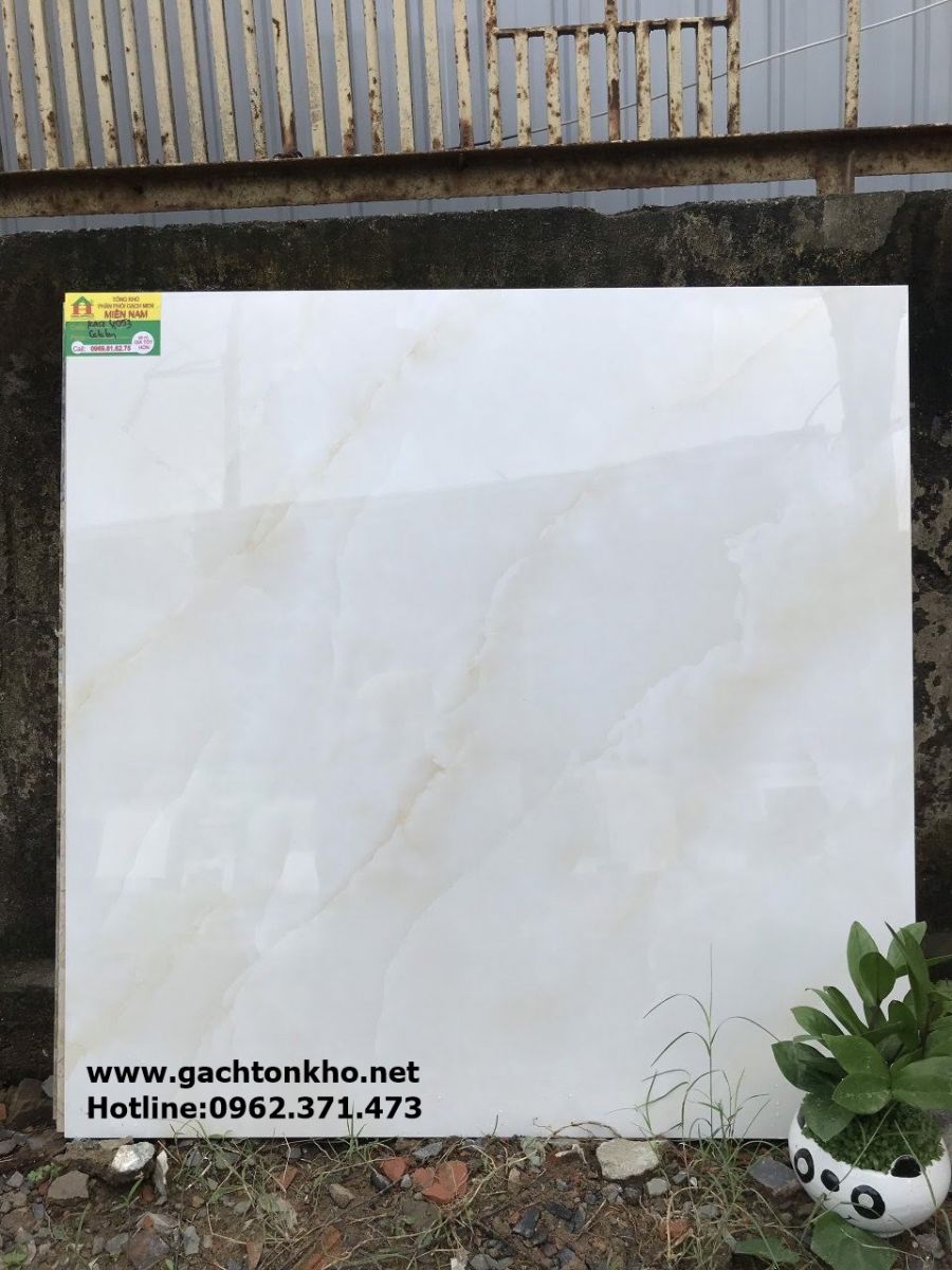 gach-80x80-9053