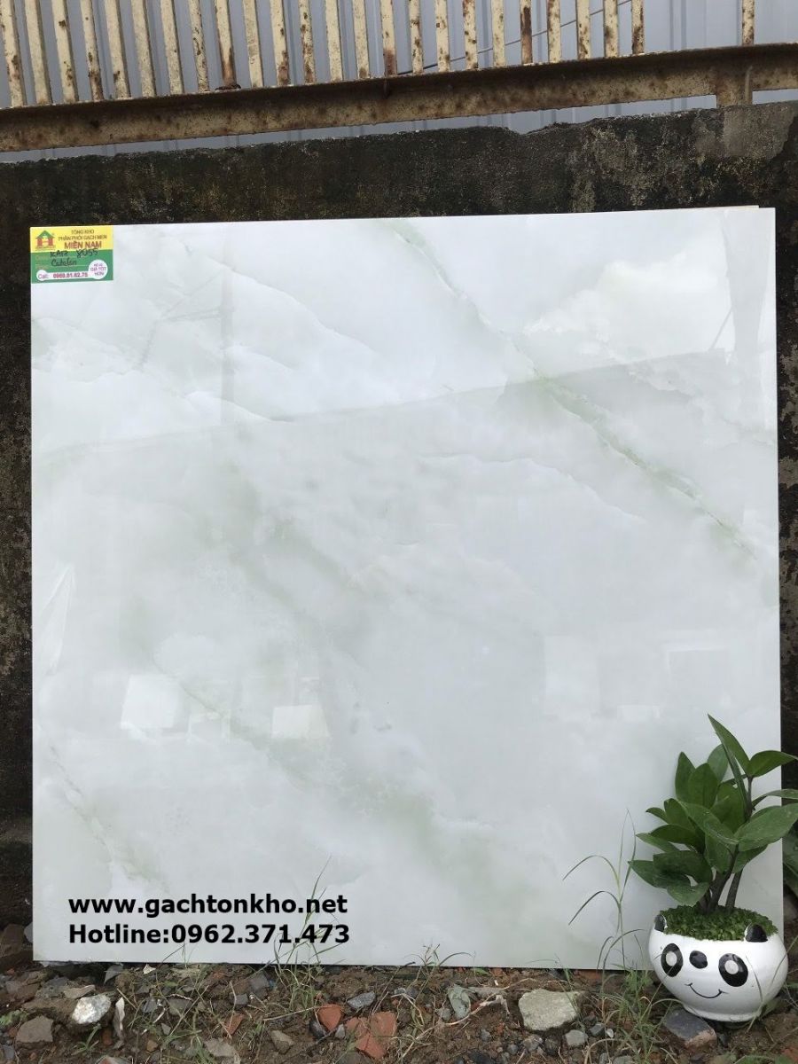 gach-80x80-8055