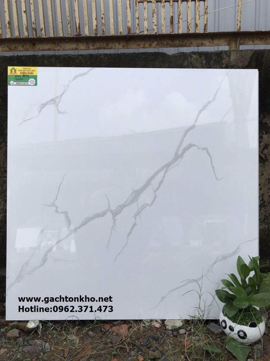 gach-80x80-8059