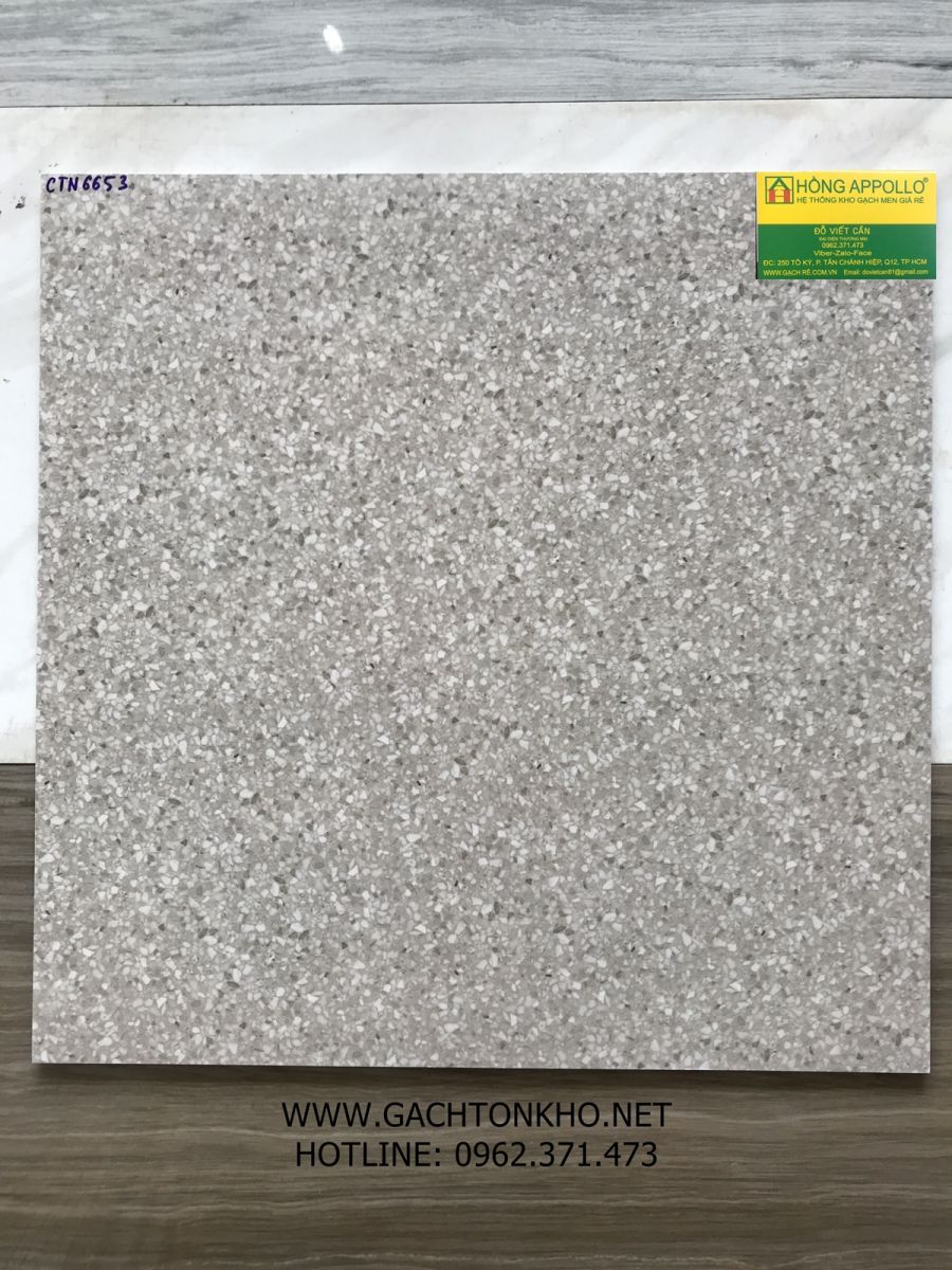 gạch lát nền 60x60 nhám mờ Catalan 6653